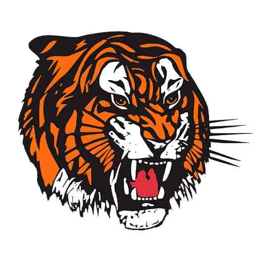 Medicine Hat Tigers